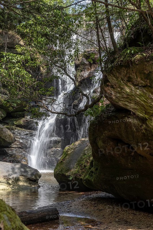 Waterfall along a hiking trail through Dismals Canyon near Phil Campbell, Alabama, USA