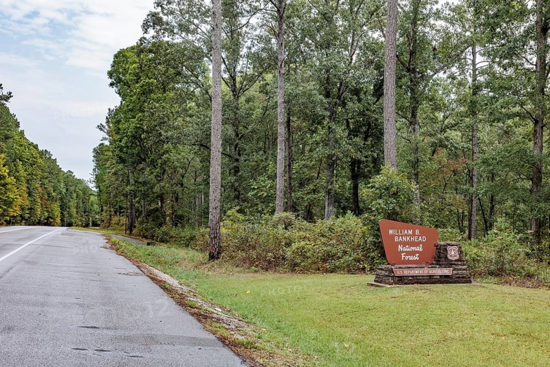 Sign entering the William B. Bankhead National Forest along highway 33 near Double Springs, Alabama