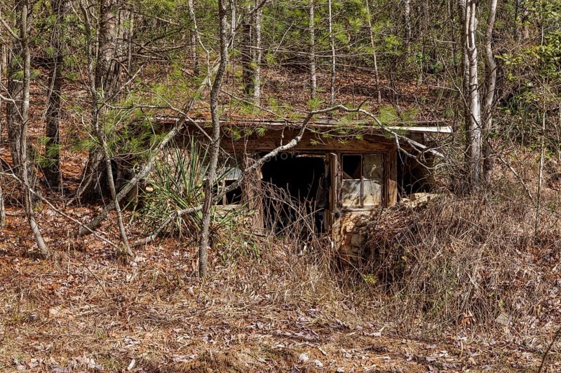 Abandoned root celler in the Chattahoochee National Forest near Blue Ridge, Georgia, USA