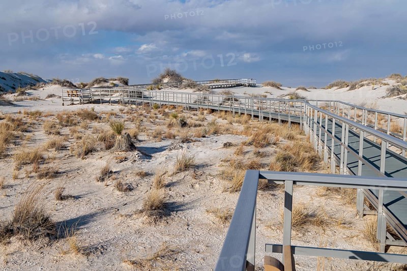 Interdune Boardwalk over the gypsum sand dunes in White Sands National Park near Alamogordo, New Mexico