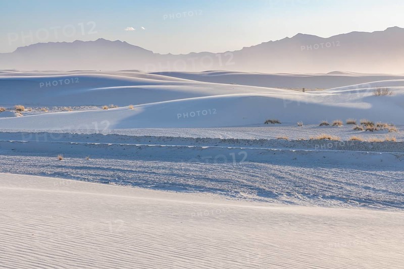 Dunes form smooth undulating curves and hills at White Sands National Park in Alamogordo, New Mexico, USA
