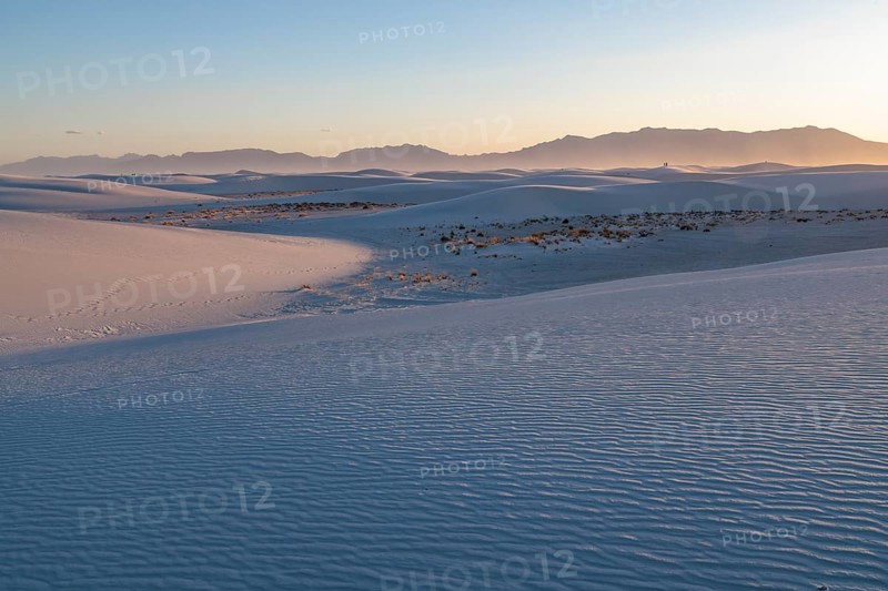 Smooth curved sand dunes in evening light at White Sands National Park in Alamogordo, New Mexico, USA