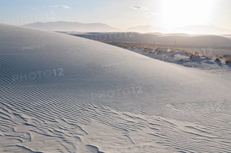 Patterns in the dunes at White Sands National Park in Alamogordo, New Mexico, USA