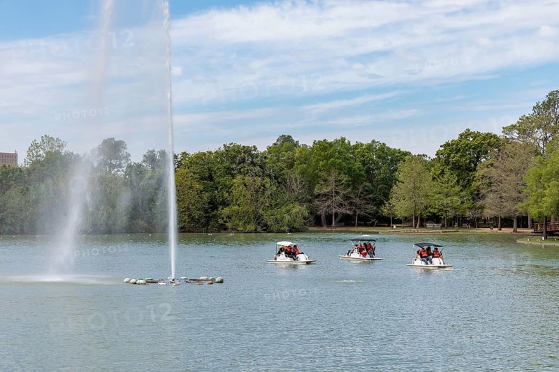 Young families piloting pedal boats around the fountain on Lake McGovern at Hermann Park in downtown Houston, Texas