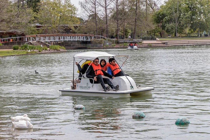 Young family piloting a pedal boat on Lake McGovern at Hermann Park in downtown Houston, Texas