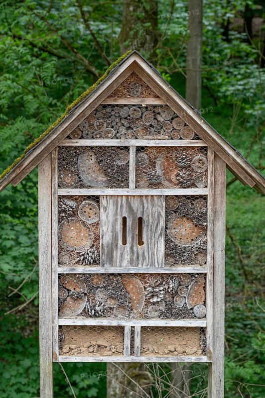 Insect hotel, wildlife park, Bavaria, Germany