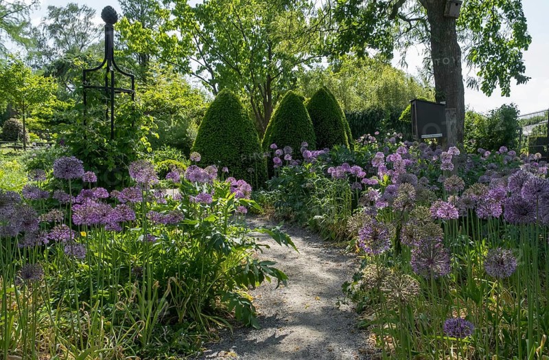 District educational garden, Burgsteinfurt, Münsterland, North Rhine-Westphalia, Germany