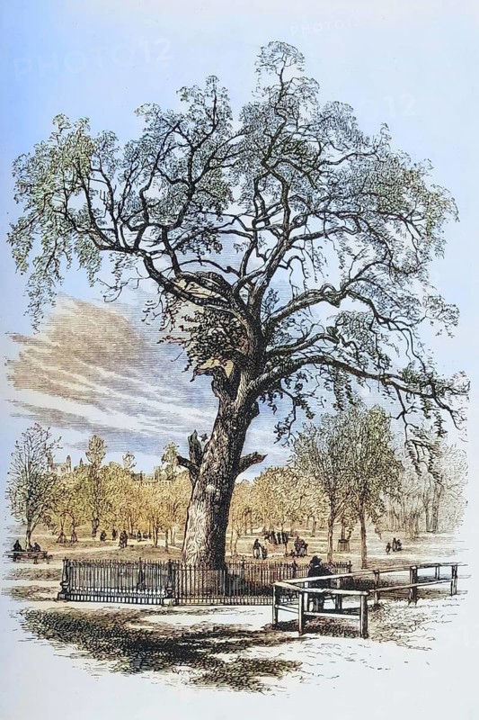 Boston, Massachusetts, the Liberty Tree in the 1870s, America, digital reproduction from American Pictures, drawn in pen and pencil, coloured, by Samuel Manning, published circa 1880, Historical