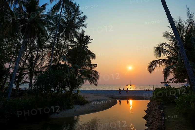 Sandy beach beach with coconut palms, Ao Phrao Beach, sunset, Koh Kood, Koh Kut, Gulf of Thailand, Thailand