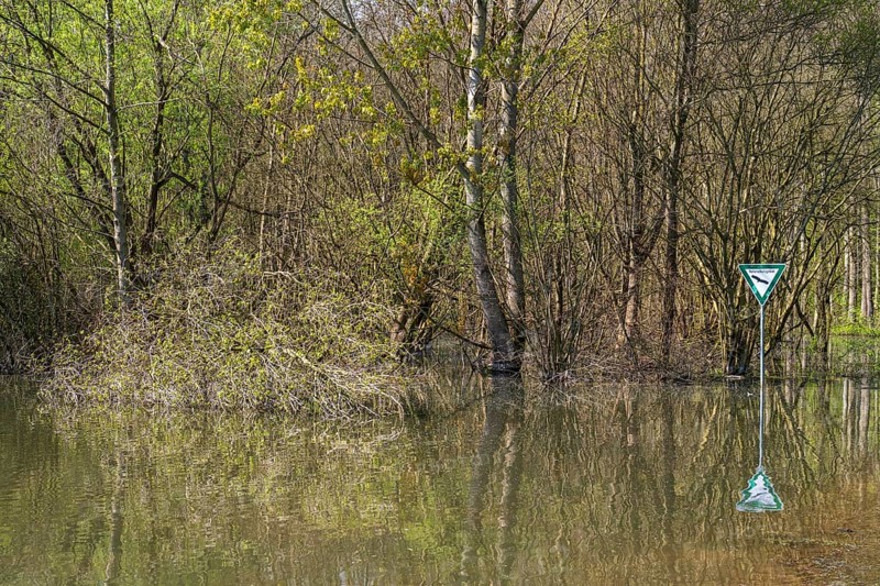 Newly created lake, Ostholz nature reserve, Wickede, Dortmund, Ruhr area, Westphalia, North Rhine-Westphalia, Germany