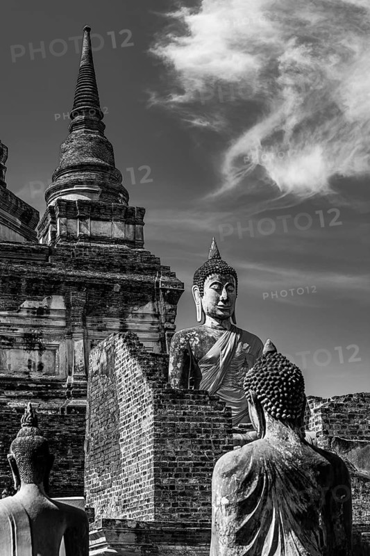 Stone Buddha statues, a temple tower in the back, Prang, historic Buddhist temple complex, black and white photo, Ayutthaya, Thailand