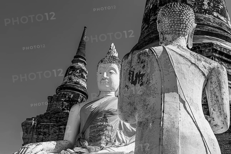 Stone Buddha statues, historic Buddhist temple complex, black and white photo, Ayutthaya, Thailand