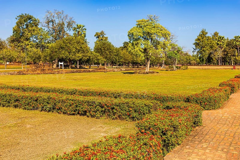 Historical park with green grass and red honeysuckle hedges, Sukhothai, Sukhothai province, Thailand