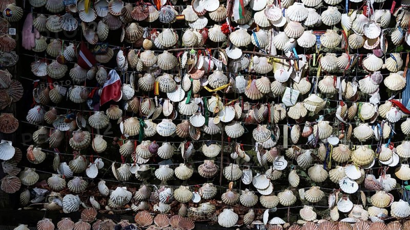 A multitude of scallop shells (pecten maximus) hung in a net, symbolising the pilgrimage, pilgrimage on the caminho portugues, Portugal, Spain