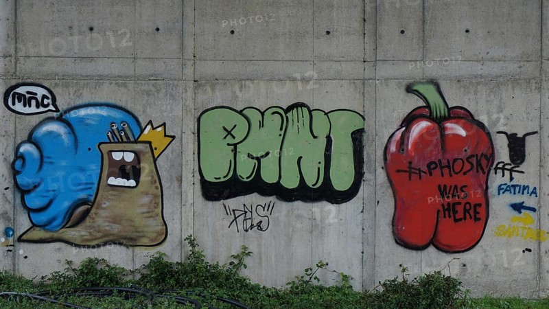 Colourful graffiti of snails and peppers on a concrete wall in an urban setting with Fatima and Santiago directional arrows, making pilgrimages on Caminho Portugues, Spain