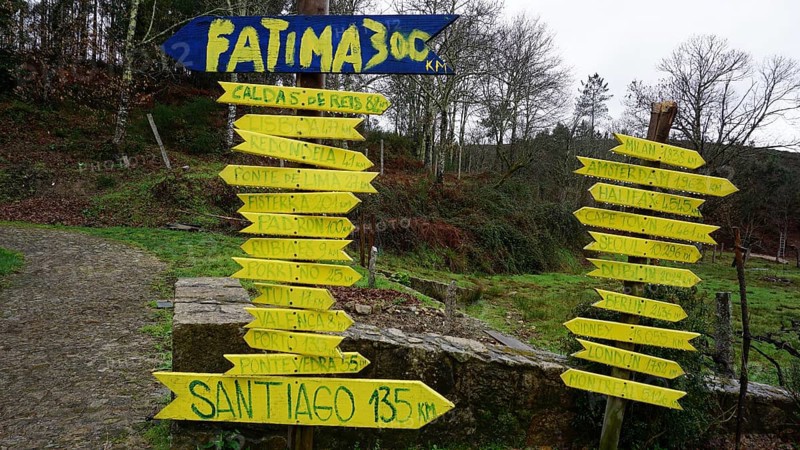 Various yellow signs show distances to Fatima and Santiago in a wooded landscape, pilgrims on the Caminho Portugues, Portugal