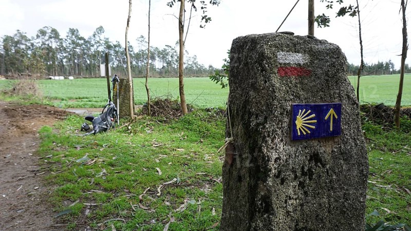 Stone with trail marking on the Camino de Santiago in green landscape, pilgrimage on the Caminho Portugues, Portugal