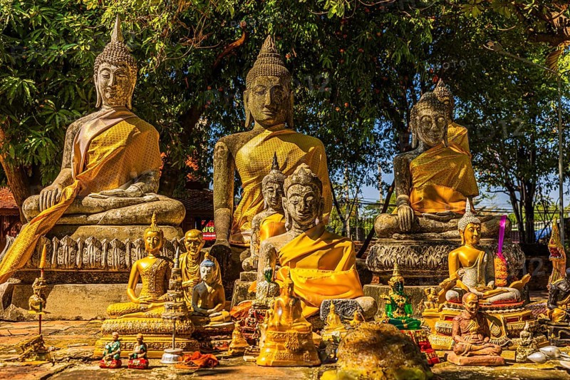 Collection of large and small Buddha statues decorated with yellow cloths, historic Buddhist temple complex, Ayutthaya, Thailand