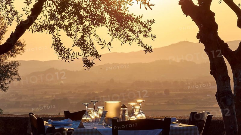 Atmospheric landscape at sunset with focus on a decorated table and olive trees, Hotel Europa, garden restaurant and view of the surrounding landscape, Olympia, Peloponnese, Greece