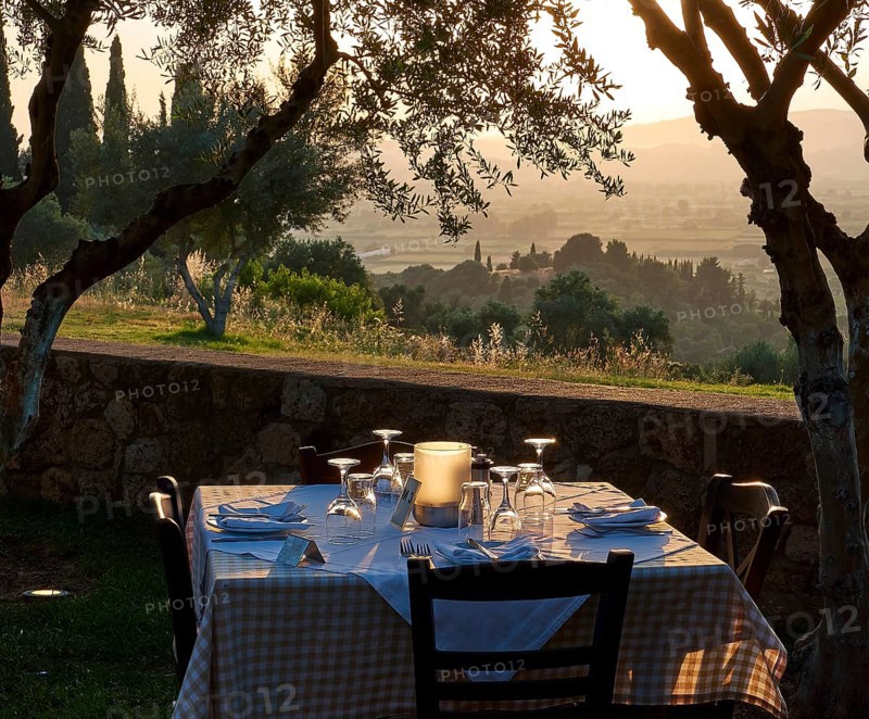 Outdoor table, surrounded by trees, in the warm light of a sunset, Hotel Europa, garden restaurant and view of the surrounding landscape, Olympia, Peloponnese, Greece