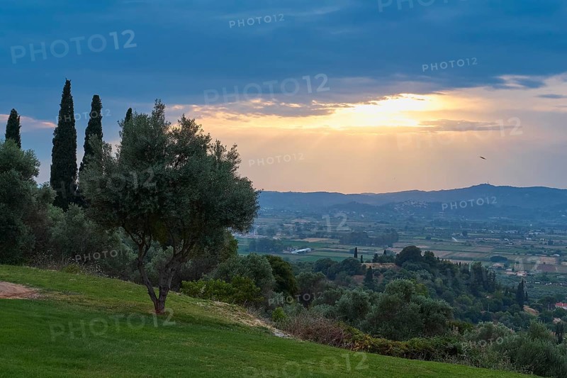Tree in the foreground, sunset bathes the landscape in warm light, Hotel Europa, garden restaurant and view of the surrounding landscape, Olympia, Peloponnese, Greece
