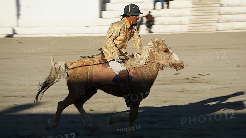 Single rider on horseback playing polo in traditional clothing on a horse moving, trekking in Ladakh, Himalayas, India