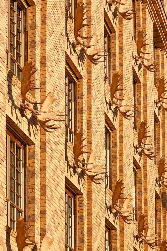 Yellow house, with a water-strewn brick façade and decorated with 52 moose shovels and hunting scenes on the roof ledge, built according to plans by Prof. Petzinka in 2008, Düsseldorf, North Rhine-Westphalia, Germany