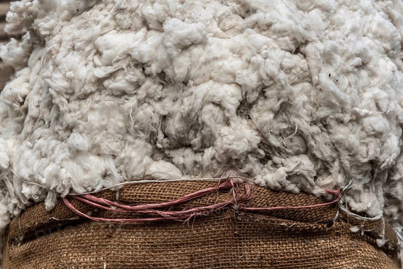 Close up image of a sack of raw Egyptian cotton for sale in a Cairo market, Cotton is a major agricultural cash crop and important export commodity in Egypt