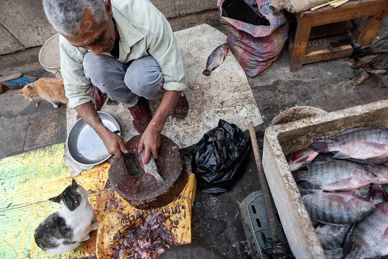 Cairo, Egypt. December 5th 2022 An Egyptian man gutting fish caught from the River Nile to be sold in the market of the Islamic Quarter of Cairo, the capital city of Egypt