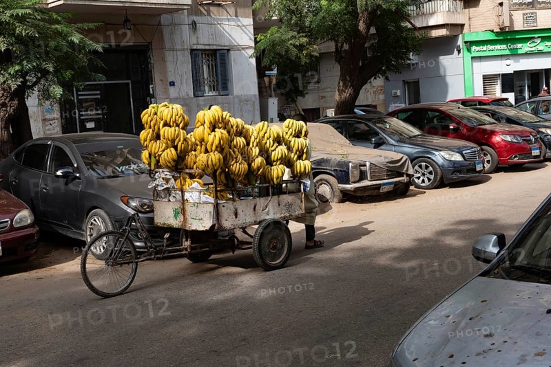 Cairo, Egypt. November 28th 2022 A street stall selling Egyptian bananas, a home grown fruit and staple of Egyptian house hold daily shopping, Cairo, Egypt