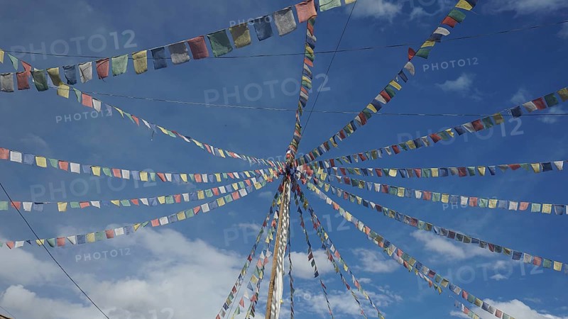 Colourful prayer flags stretch across the blue sky in Leh, Ladakh, North India, Himalayas, India