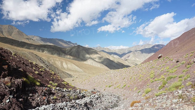 Rocky mountain landscape with blue sky and scattered vegetation, trekking at Stok La Pass in Ladakh, Himalayas, India