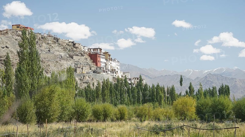 Village buildings on a hill with green landscape and mountains under a blue sky, Ladakh, Himalayas, India