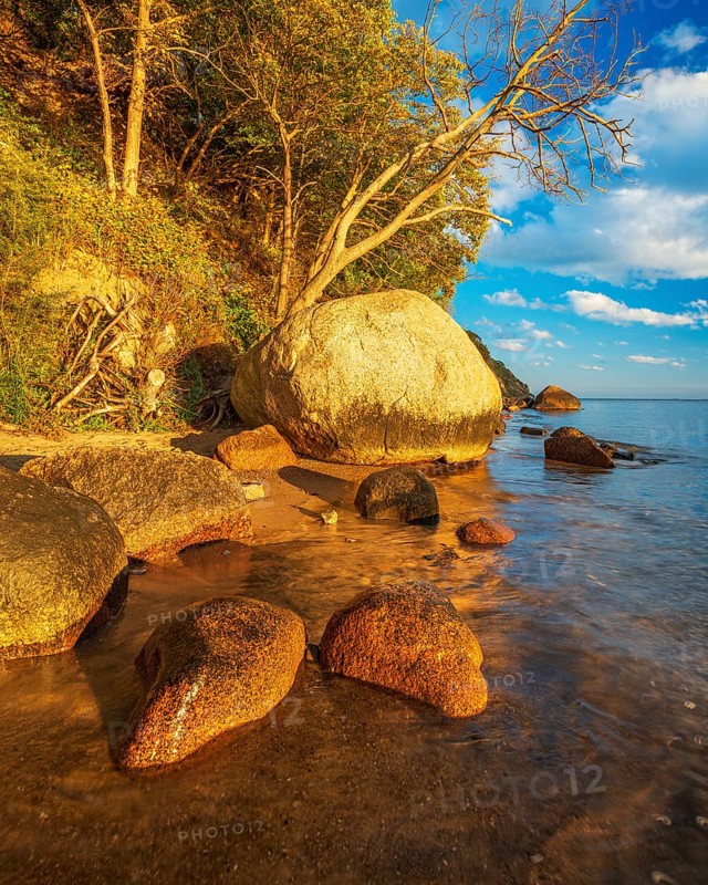 Coastal landscape with large boulders on the Baltic Sea beach in the evening light, Mönchgut Nature Reserve, Groß Zicker, Mönchgut Peninsula, Rügen Island, Mecklenburg-Western Pomerania, Germany