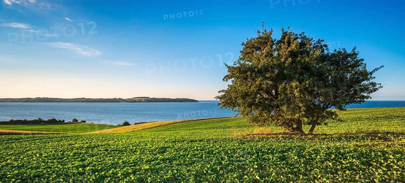 View over green fields and lagoon landscape, Mönchgut Nature Reserve, Groß Zicker, Mönchgut Peninsula, Rügen Island, Mecklenburg-Western Pomerania, Germany