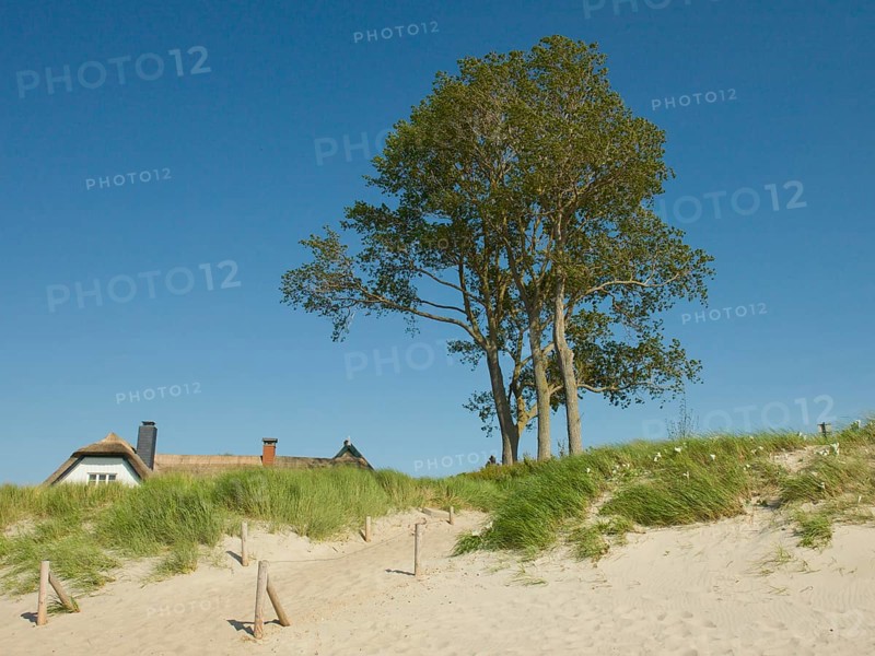 Coastal scene, with a thatched building, Ahrenshoop, Baltic Sea, Vorpommern-Rügen district in Mecklenburg-Western Pomerania, Germany