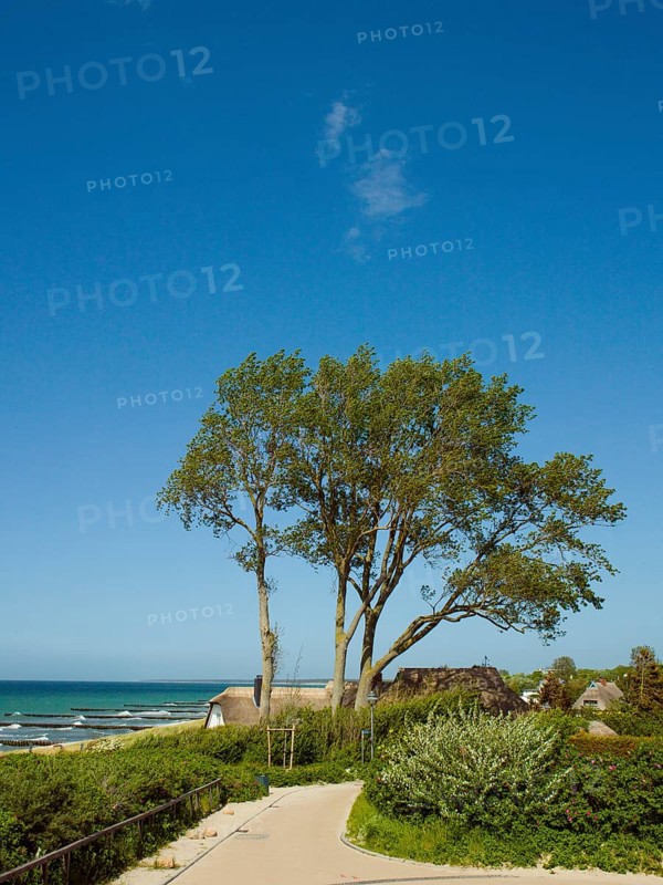 Coastal scene, Ahrenshoop, Baltic Sea, Vorpommern-Rügen district in Mecklenburg-Western Pomerania, Germany