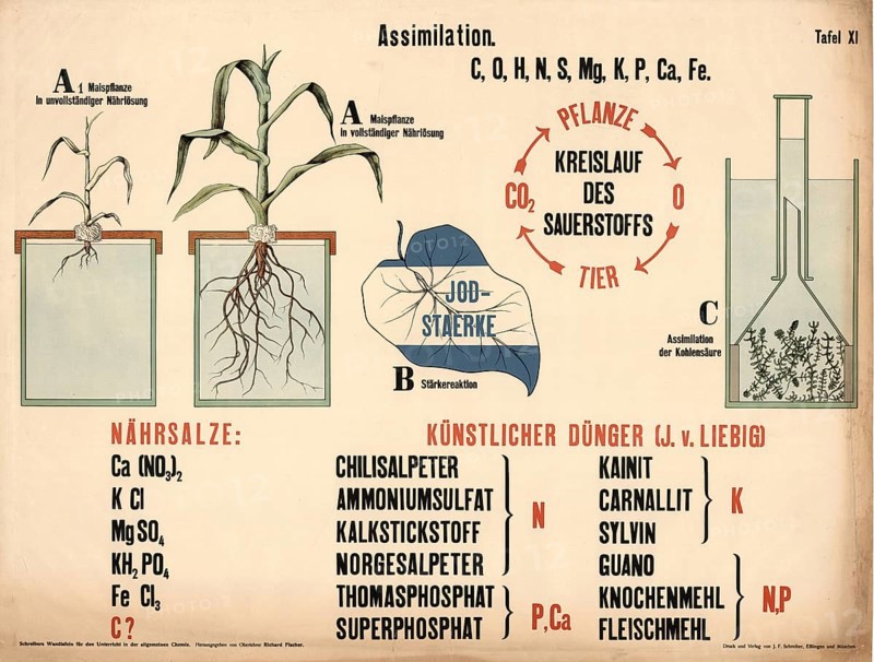 Historical teaching board illustrating the assimilation of plants, the oxygen cycle, nutritional salts and artificial fertilizers according to J. v. Liebig, authentic, digitally restored reproduction from a 19th century model, exact date of presentation unknown, historical