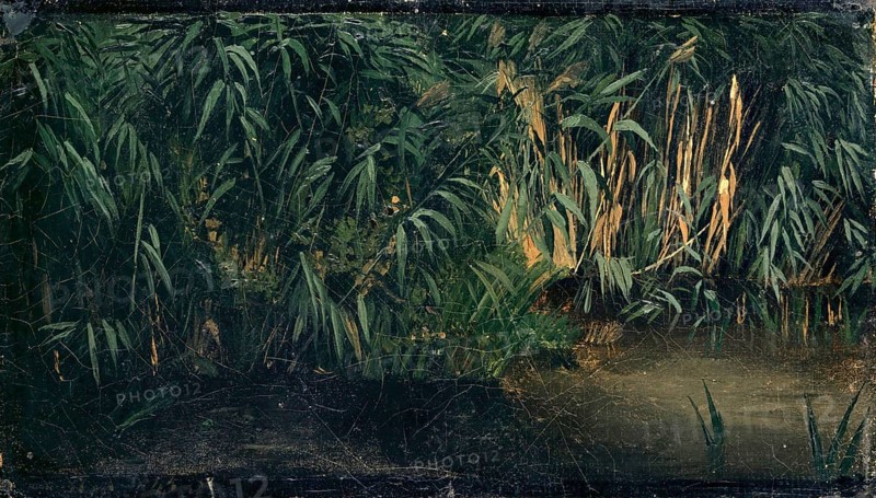 Arnold Böcklin (born 16 October 1827, died January 1901), Swiss painter, draughtsman, graphic artist and sculptor of Symbolism: Reed (1845), Painting, Reproduction of the painting, Work of art, Historical, A dense forest of reeds by a dark body of water, mysterious atmosphere