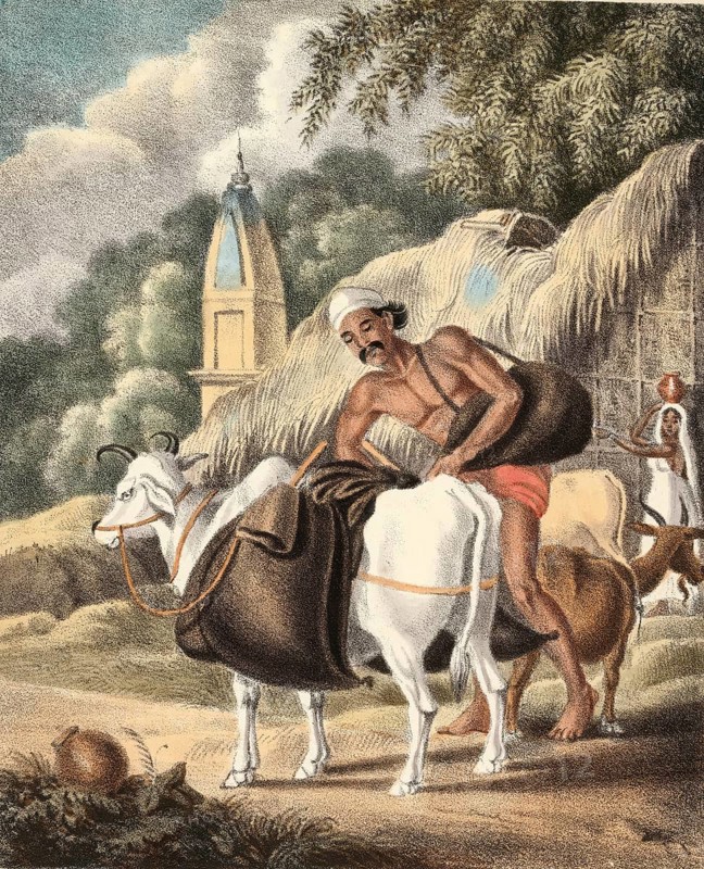 Water seller with water hoses on his way to market, India, authentic, digitally restored reproduction from a 19th century original, exact date of depiction unknown, historical, a man wraps cows in front of a temple in a rural setting