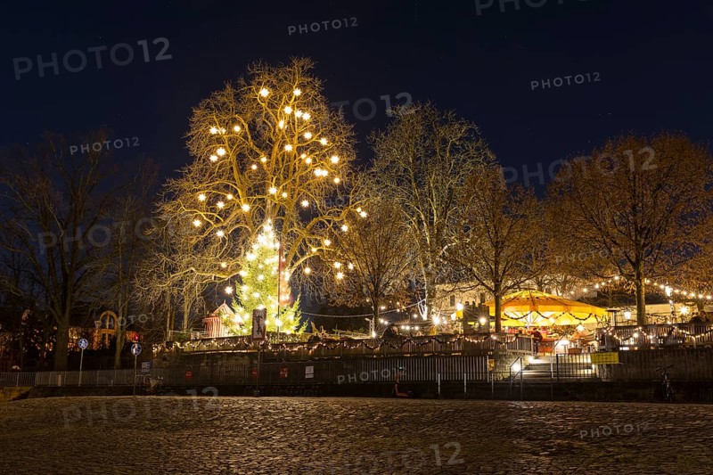 Atmospheric night view of Schillergarten beer garden with a large tree with Herrnhut stars, carousel and illuminated Christmas tree, Blasewitz, Dresden, Saxony, Germany