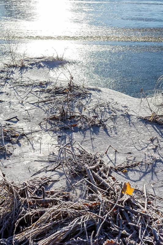Hoarfrost and ice on the banks of the Elbe, Coswig, Saxony, Germany