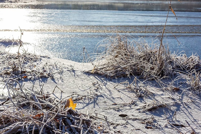 Hoarfrost and ice on the banks of the Elbe, Coswig, Saxony, Germany