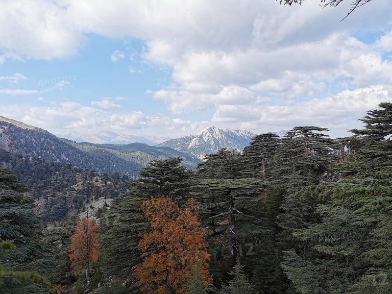 View of Tahtali Dagi over forested mountains under a blue sky with clouds, hiking the Lycian Trail, Turkey
