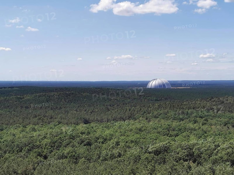 View of an extensive forest with the dome of Tropical Island, Cargolifter Hall on the horizon under a slightly cloudy sky, Spreewald Biosphere Reserve