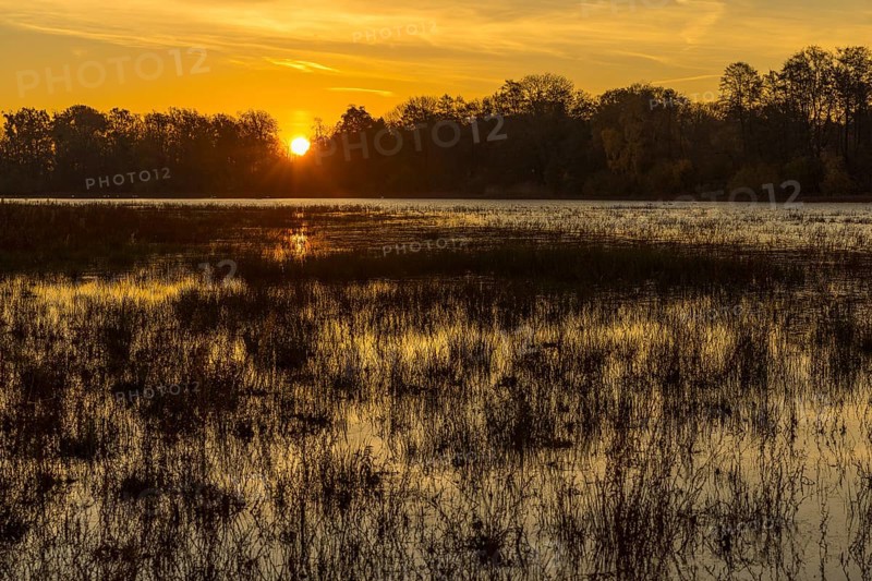 Sunrise on a large pond near the lighthouse in Moritzburg Castle Park, Saxony, Germany