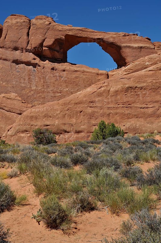 Skyline Arch, a distinctive rock arch in the desert with sparse vegetation, Arches National Park, Utah, USA