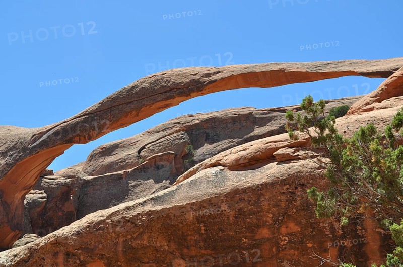 Large stone bridge, called Landscape Arch, in desert landscape with plants, Arches National Park, Utah, USA