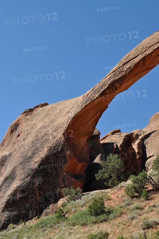 Detailed view of Landscape Arch, an impressive natural stone bridge, with some vegetation, Arches National Park, Utah, USA