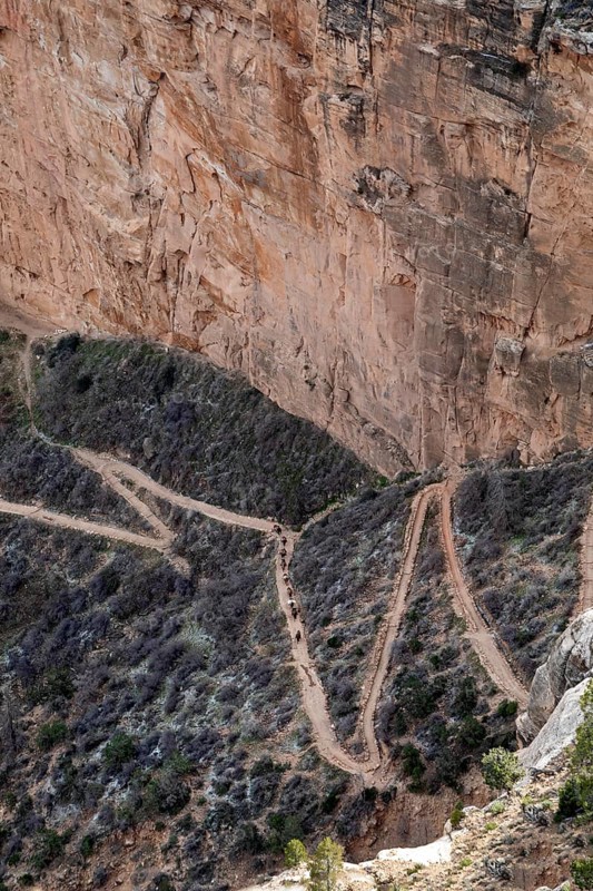 Grand Canyon National Park, Arizona - A mule train heads up the switchbacks on Bright Angel Trail